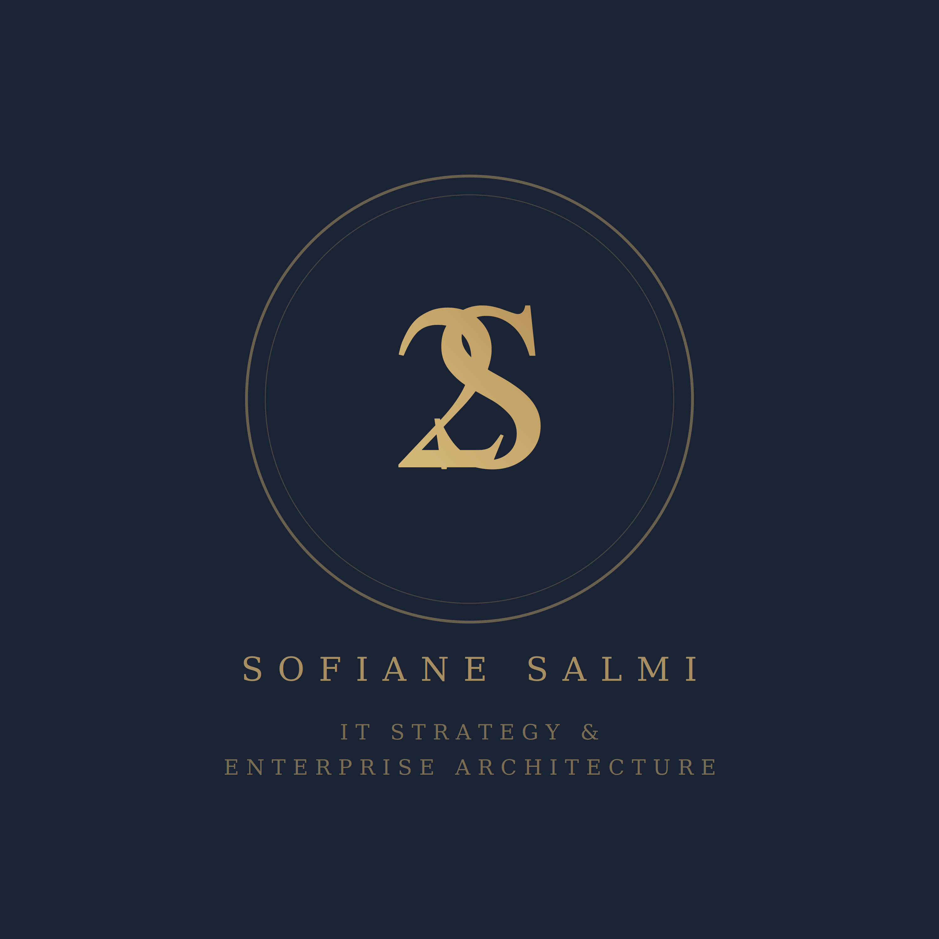 Sofiane Salmi - IT Strategy & Enterprise Architecture